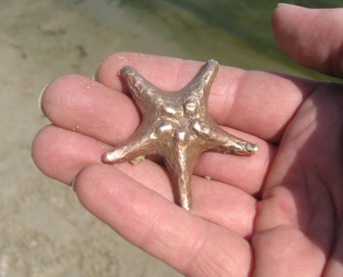 Zeester, i.o.v. stichting WereldOuders, brons