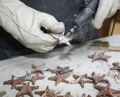 Zeester, stichting WereldOuders, brons