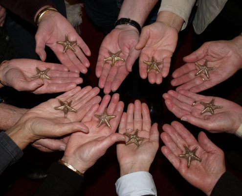 Zeester, stichting WereldOuders, brons